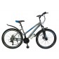 Велосипед горный Greenway Colibri-H 29"
