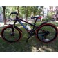 Велосипед подростковый Greenway 4919M 24"